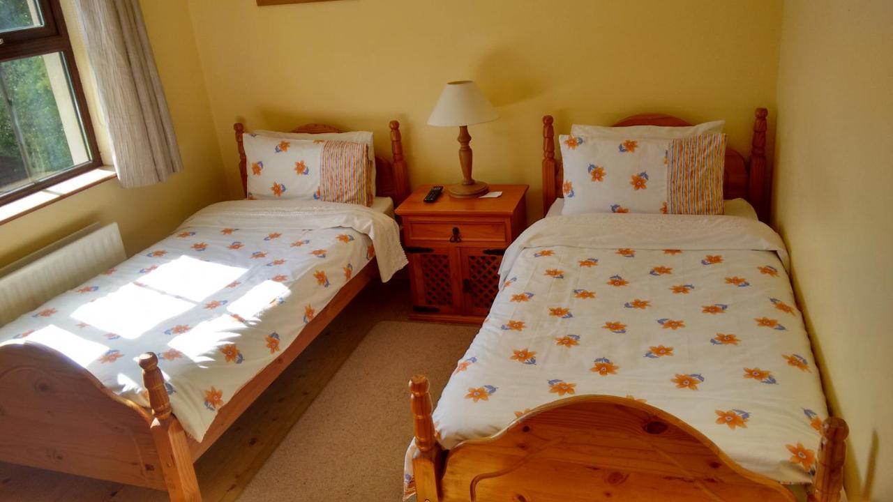 Bed and Breakfast Grannagh Castle House Waterford Exterior foto