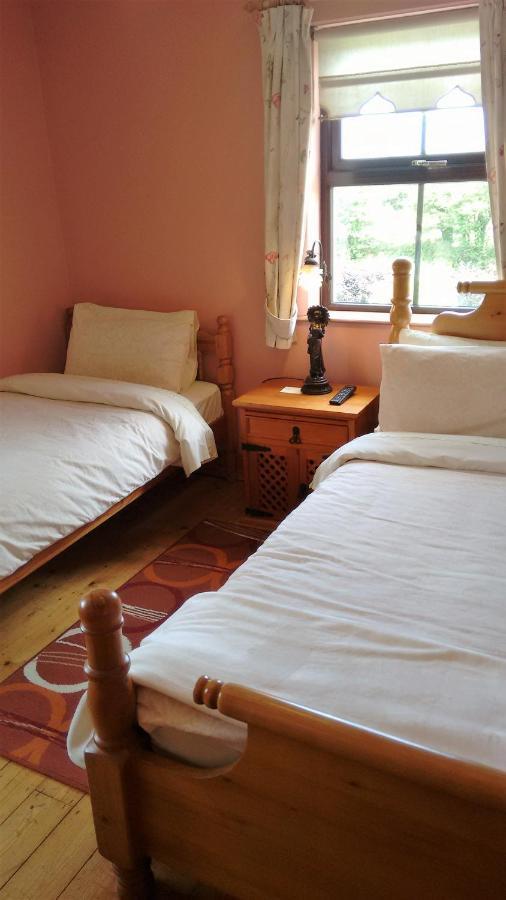 Bed and Breakfast Grannagh Castle House Waterford Exterior foto