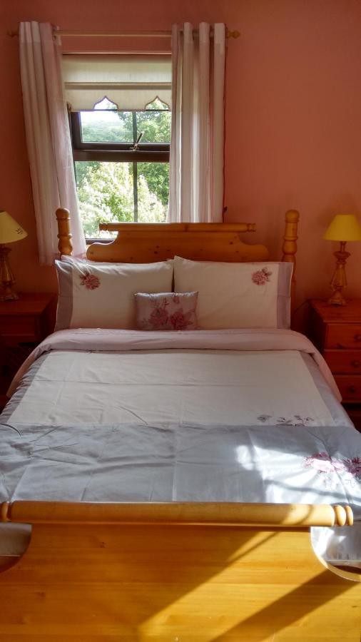 Bed and Breakfast Grannagh Castle House Waterford Exterior foto